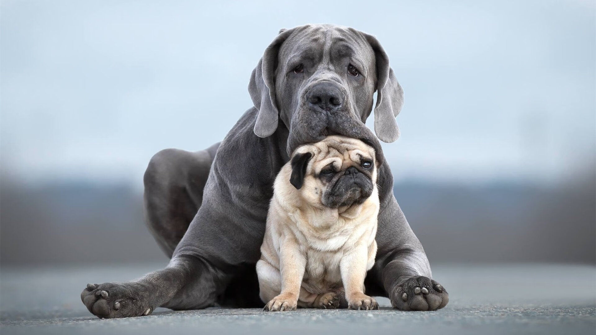 青训体系脱节严重，青训体系脱节严重怎么办
